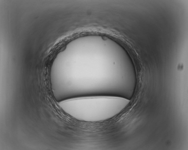 X0000116371494200912020957