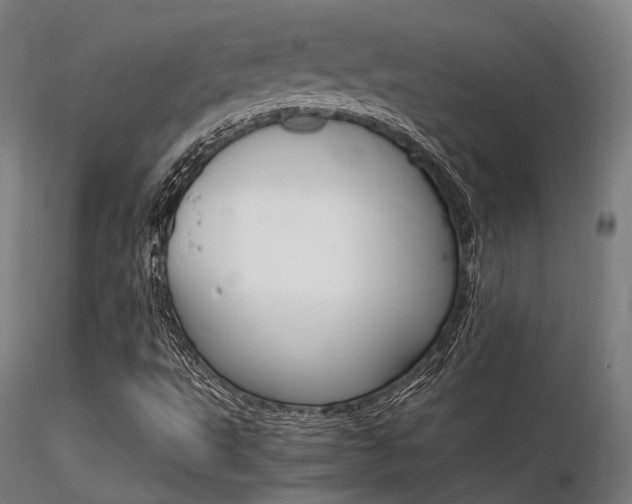 X0000116371495200912020957