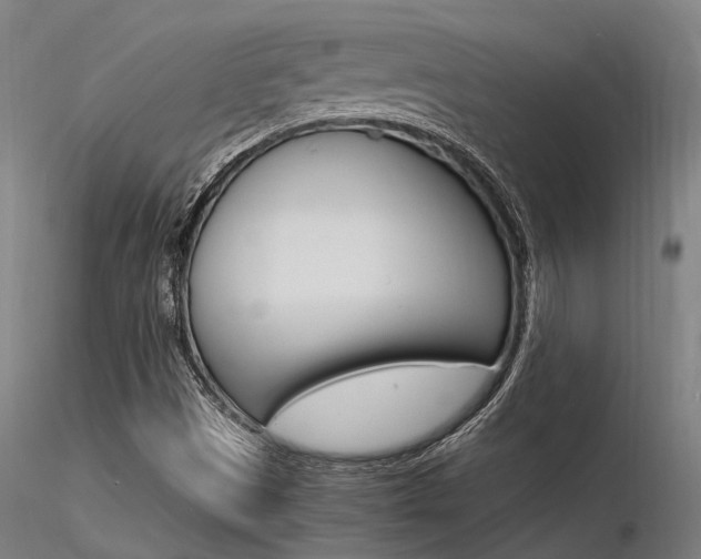 X0000116371497200912020957