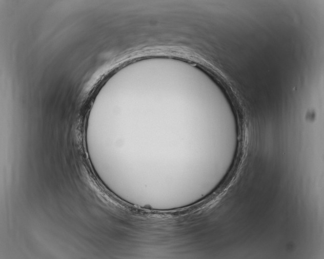 X0000116371498200912020957