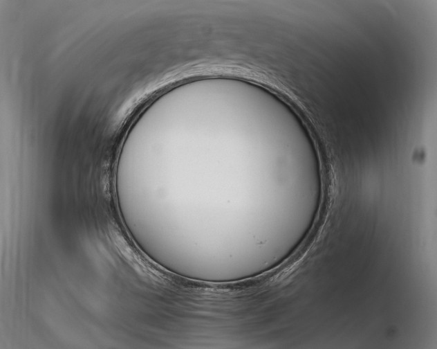 X0000116371499200912020957