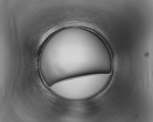X0000116371501200912020957