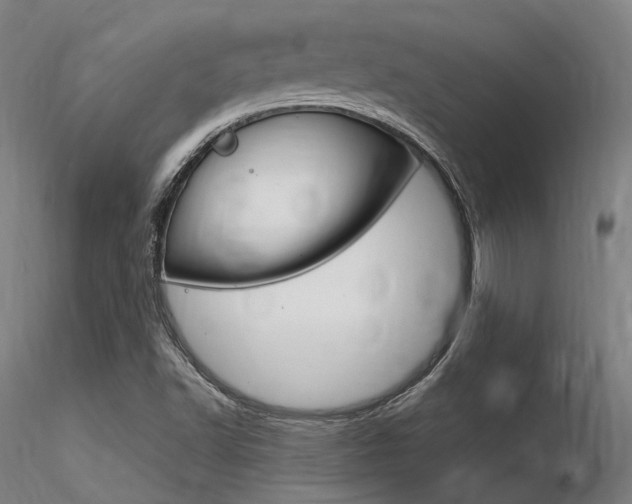X0000116371502200912020957