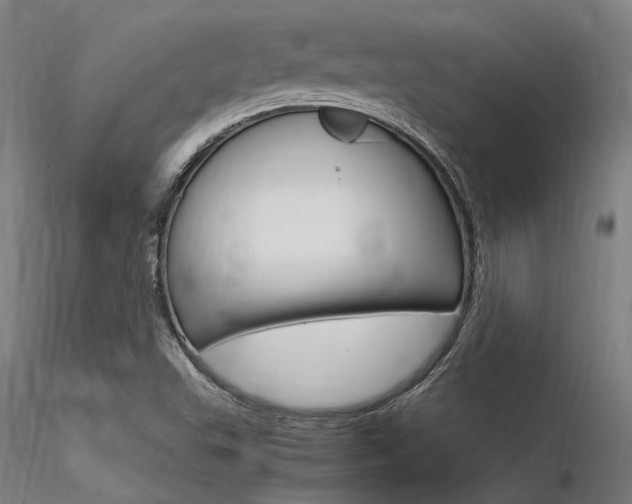 X0000116371503200912020957