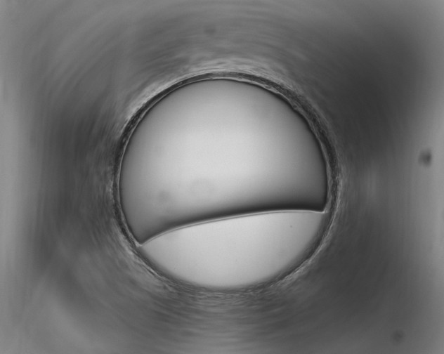 X0000116371505200912020957