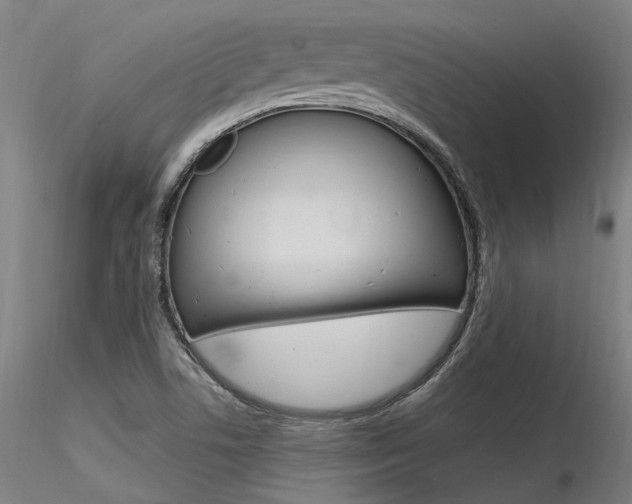 X0000116371506200912020957