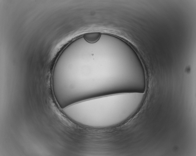 X0000116371507200912020957