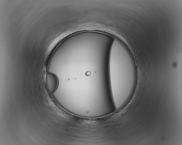 X0000116371509200912020957