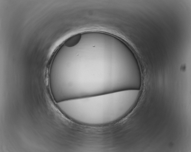 X0000116371510200912020957