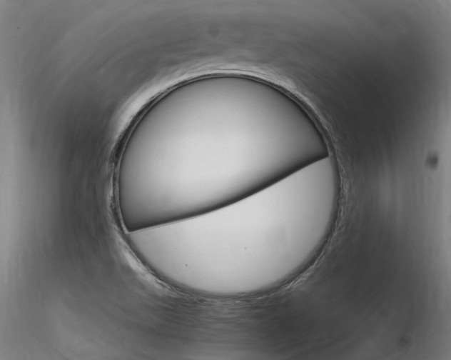 X0000116371511200912020957