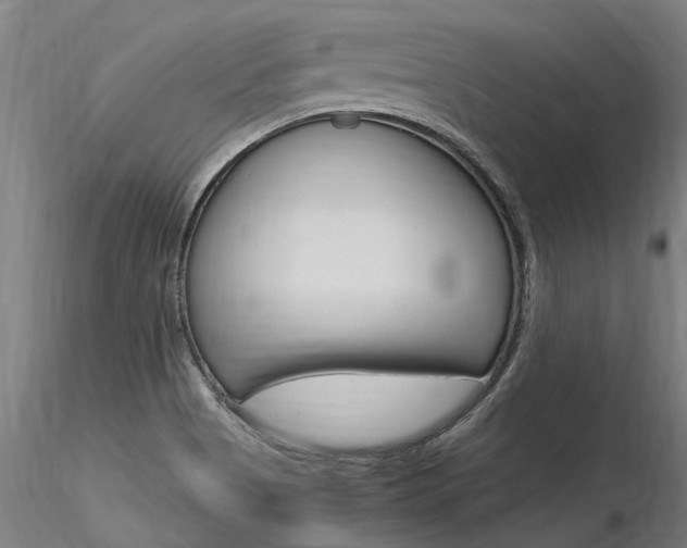 X0000116371513200912020957