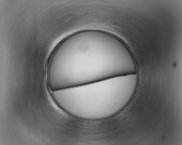 X0000116371515200912020957