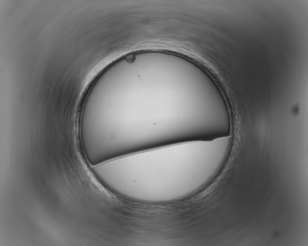 X0000116371517200912020957