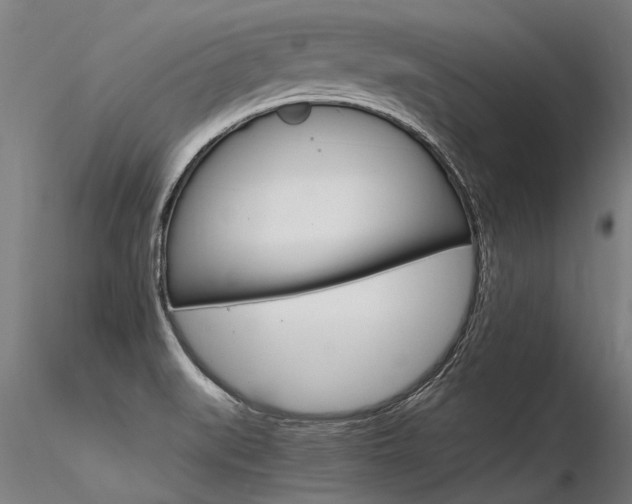 X0000116371519200912020957