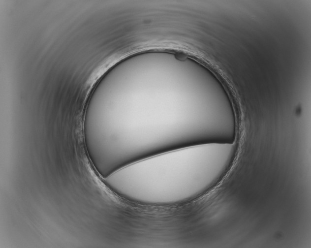 X0000116371521200912020957