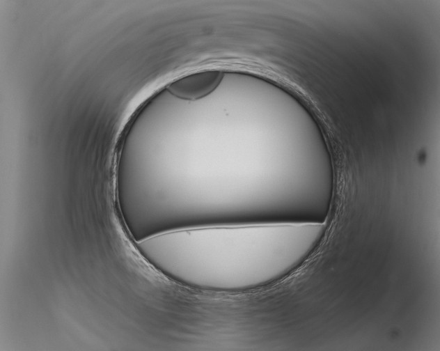 X0000116371522200912020957