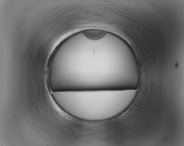 X0000116371523200912020957