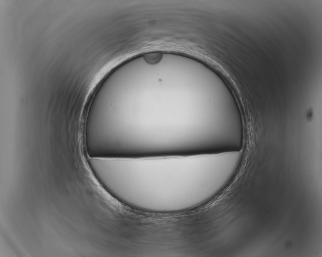 X0000116371525200912020957