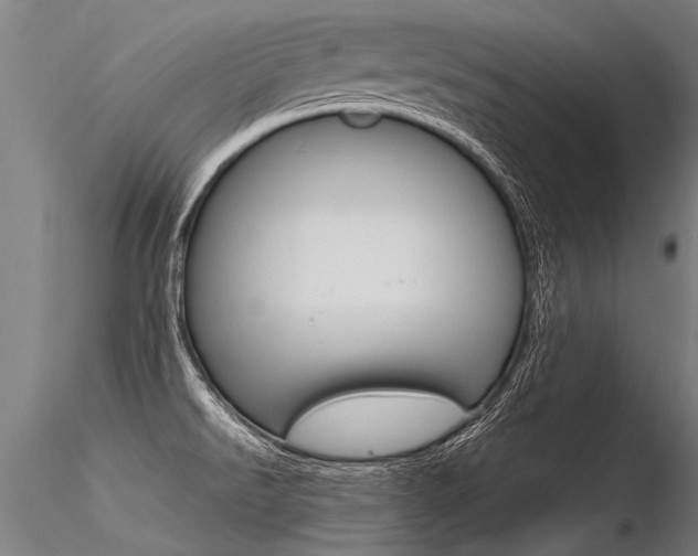 X0000116371526200912020957
