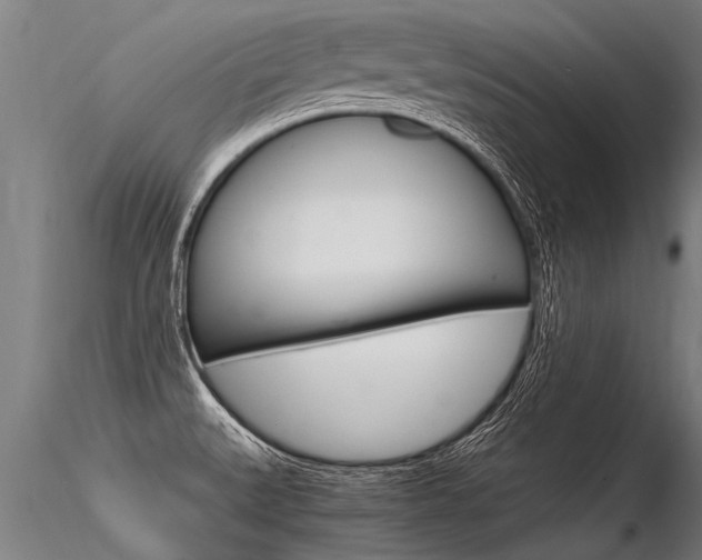 X0000116371527200912020957