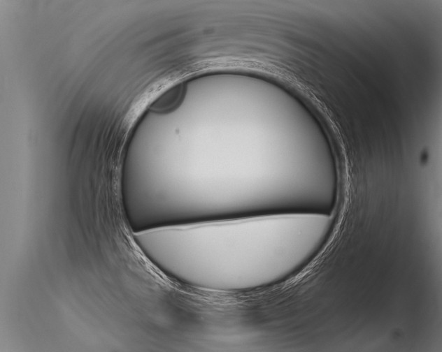 X0000116371529200912020957