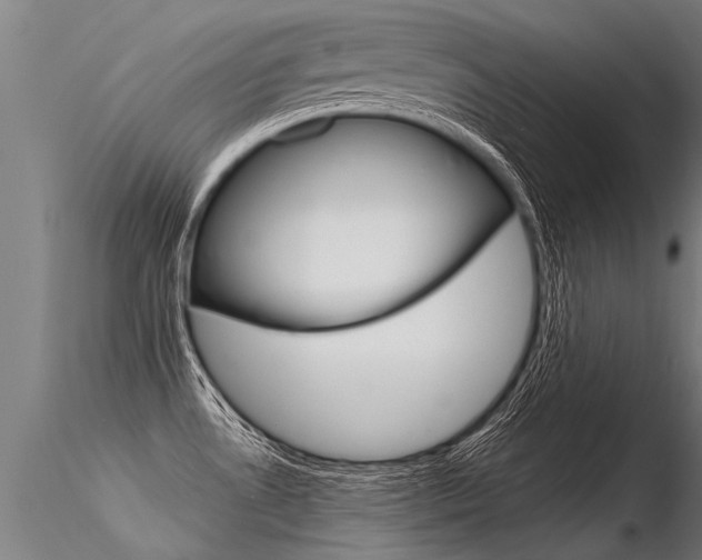 X0000116371530200912020957