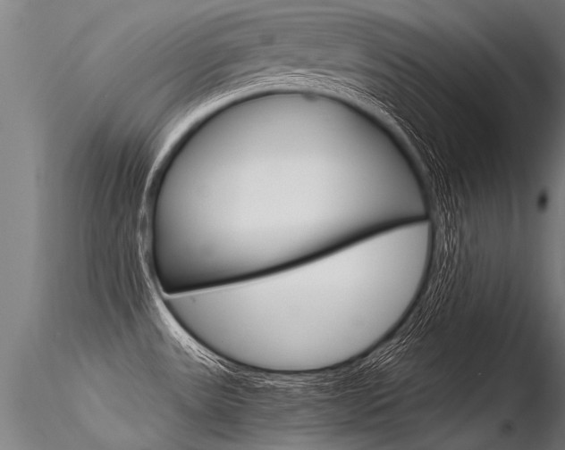 X0000116371531200912020957