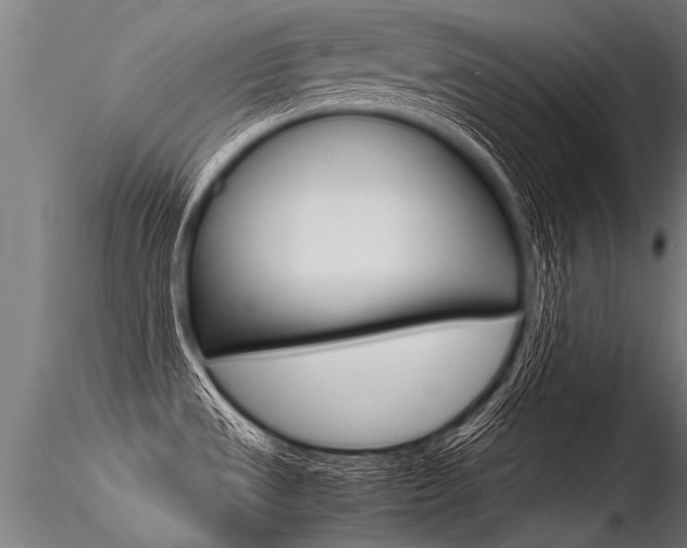 X0000116371533200912020957