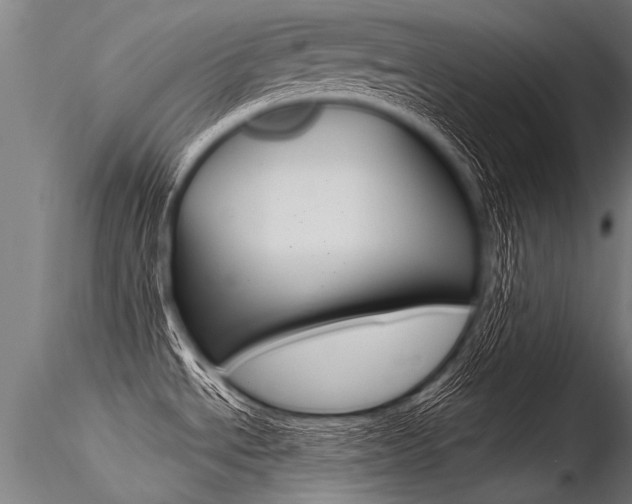X0000116371534200912020957