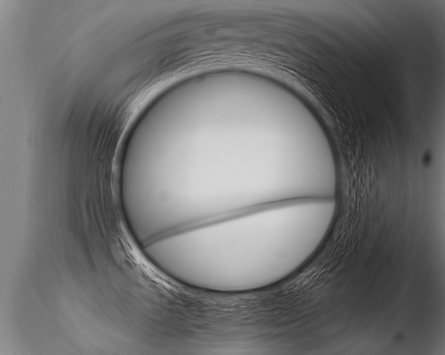 X0000116371535200912020957