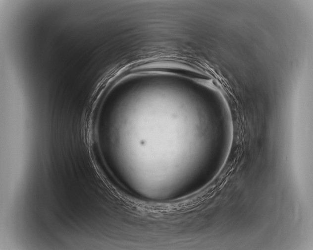 X0000116370002200912021203