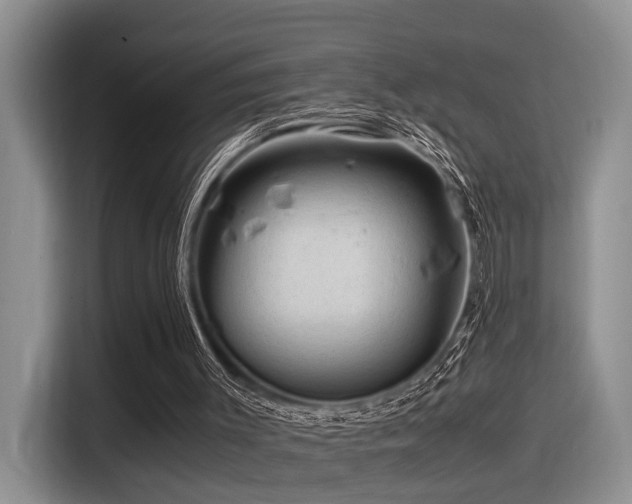 X0000116370003200912021203