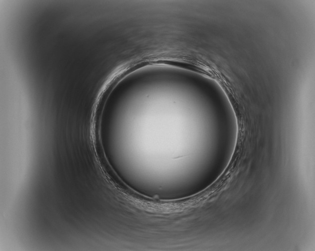 X0000116370006200912021203