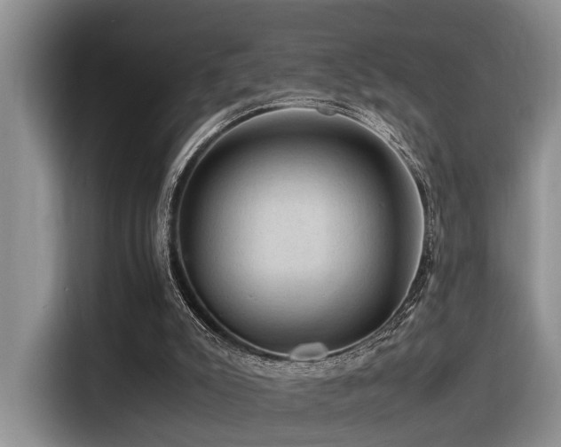 X0000116370007200912021203