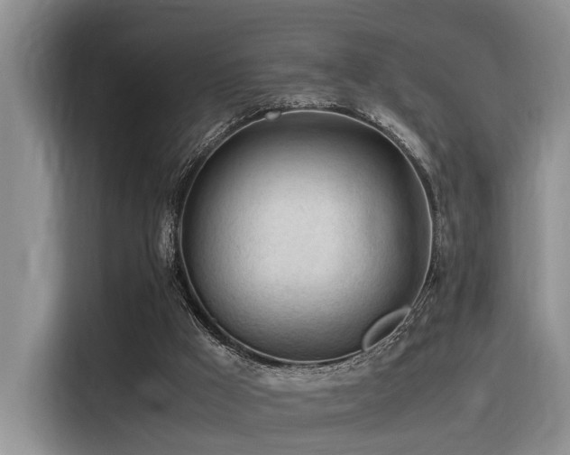 X0000116370009200912021203