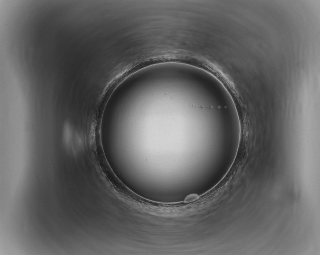 X0000116370010200912021203
