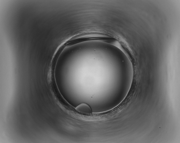 X0000116370012200912021203