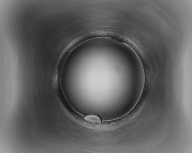 X0000116370016200912021203