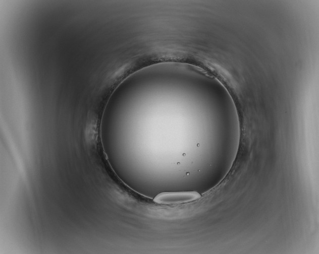 X0000116370017200912021203