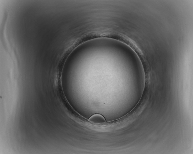 X0000116370018200912021203