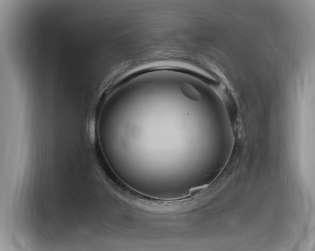 X0000116370019200912021203