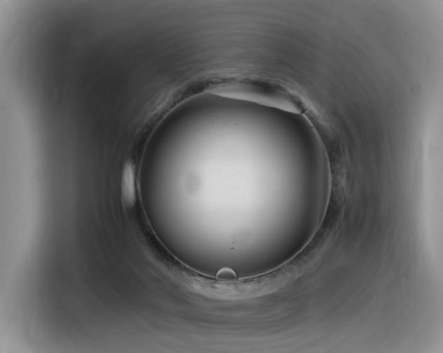 X0000116370022200912021203