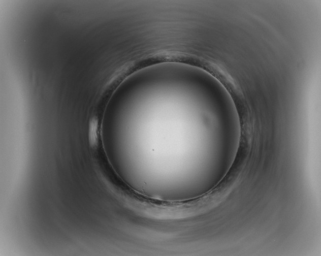 X0000116370024200912021203