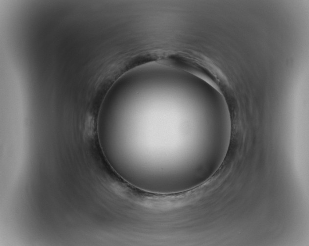 X0000116370025200912021203