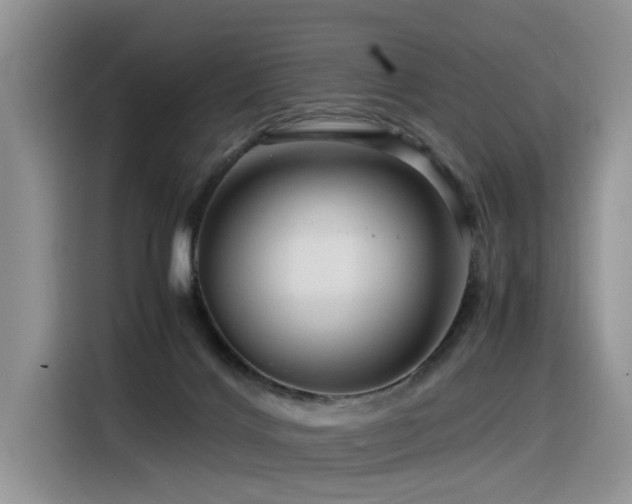 X0000116370028200912021203