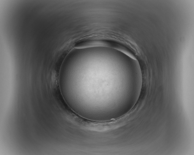 X0000116370029200912021202