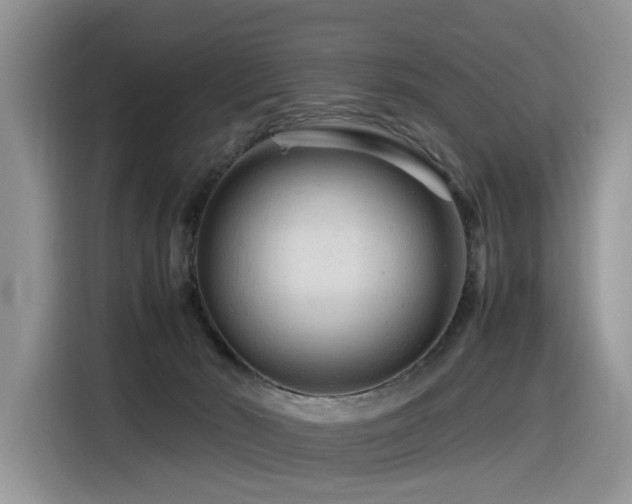 X0000116370030200912021202