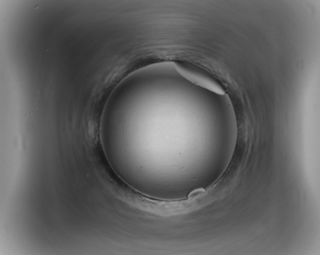 X0000116370031200912021202