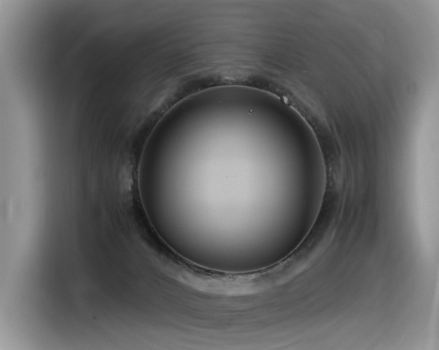 X0000116370032200912021202