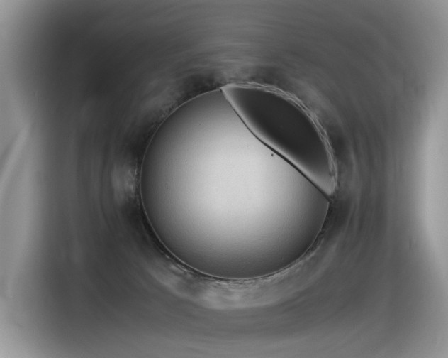 X0000116370033200912021202
